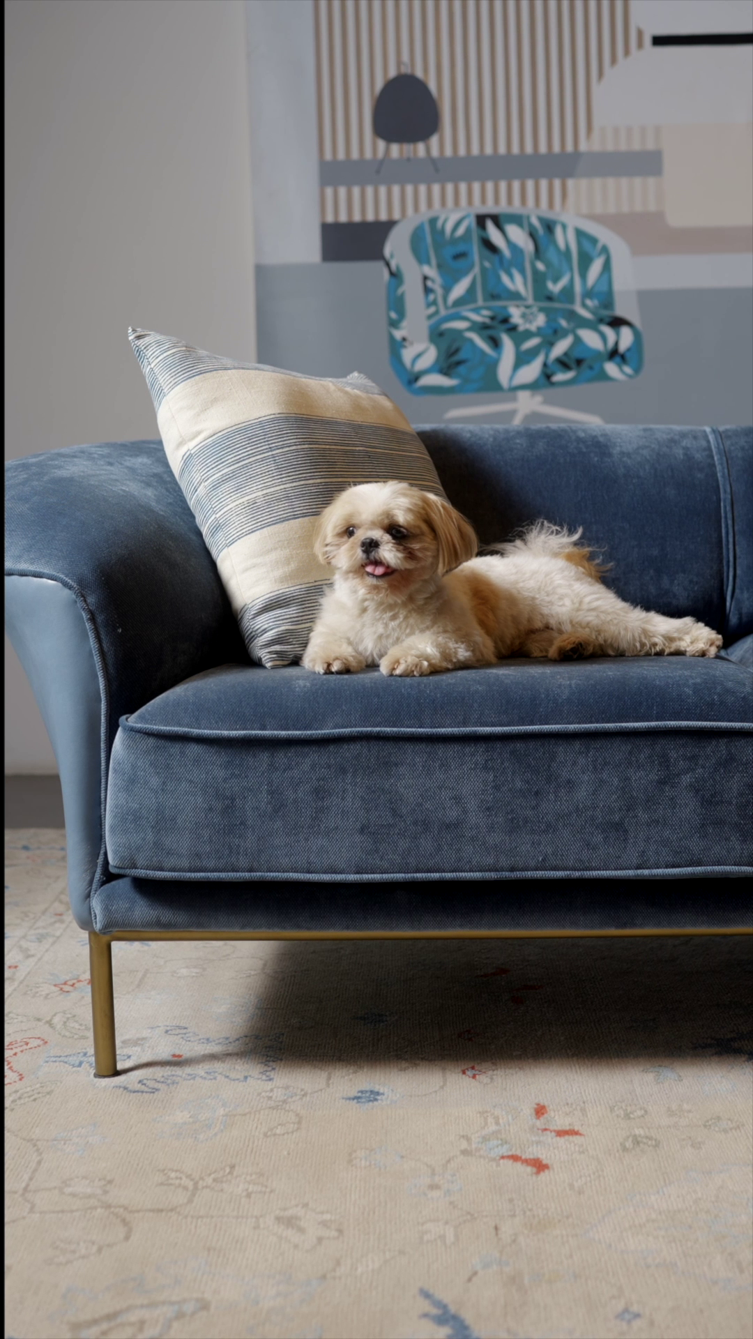 Luxury Furniture & Home Decor Online - Furniture Store In Delhi ...